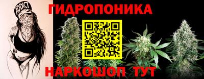 скорость Гатчина