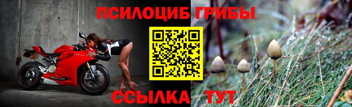 Галлюциногенные грибы MAGIC MUSHROOMS  Вход с VPN  Ейск  Галлюциногенные грибы ЛСД 